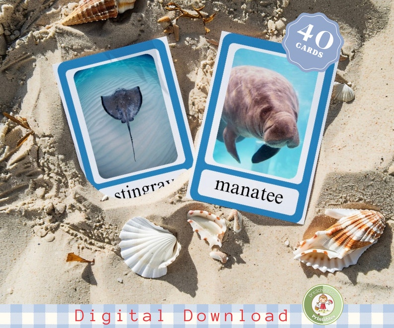 Ocean Animals Flashcards: Montessori Nomenclature Cards (digital ...