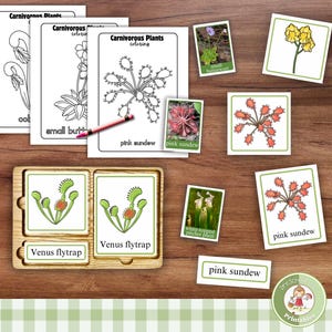 Set d'apprentissage à imprimer sur les plantes carnivores ; cartes d'identité/nomenclature ; Cartes Montessori en 3 parties ; Coloriages pour l'unité de sciences de la nature pour l'école à la maison