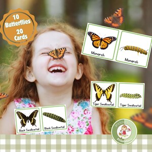 Tarjetas de emparejamiento de mariposas y orugas para niños; actividad de ciencias de la naturaleza para educación en casa o en clase; tarjetas didácticas estilo Montessori; mini animales