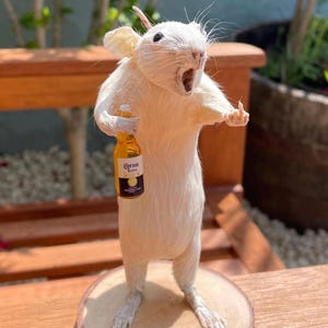 May include: A taxidermied white rat stands upright, holding a small Corona Extra beer bottle. The rat is mounted on a round wooden base. The rat's mouth is open, and it appears to be gesturing with its right paw. The background is blurred.