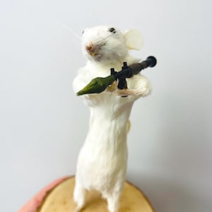 Puede incluir: Un ratón blanco disecado de pie sobre una base circular de madera. El ratón sostiene un lanzagranadas en miniatura de color negro y verde con sus patas delanteras, con la cabeza ligeramente girada y largos bigotes visibles.
