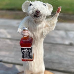 Baffi di whisky, topo tassidermizzato con bottiglia di Jack Daniel's