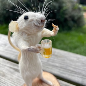 May include: A taxidermied white mouse stands upright, holding a miniature mug of beer. The mouse is posed on a wooden slice, with a blurred green background. The mouse has long whiskers and a cheerful expression.