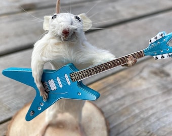 Rocket Strings - Taxidermy Mouse - Etsy