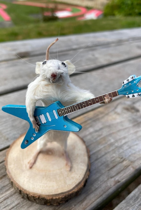 ギター rat Rocket Strings - Taxidermy Mouse - Etsy