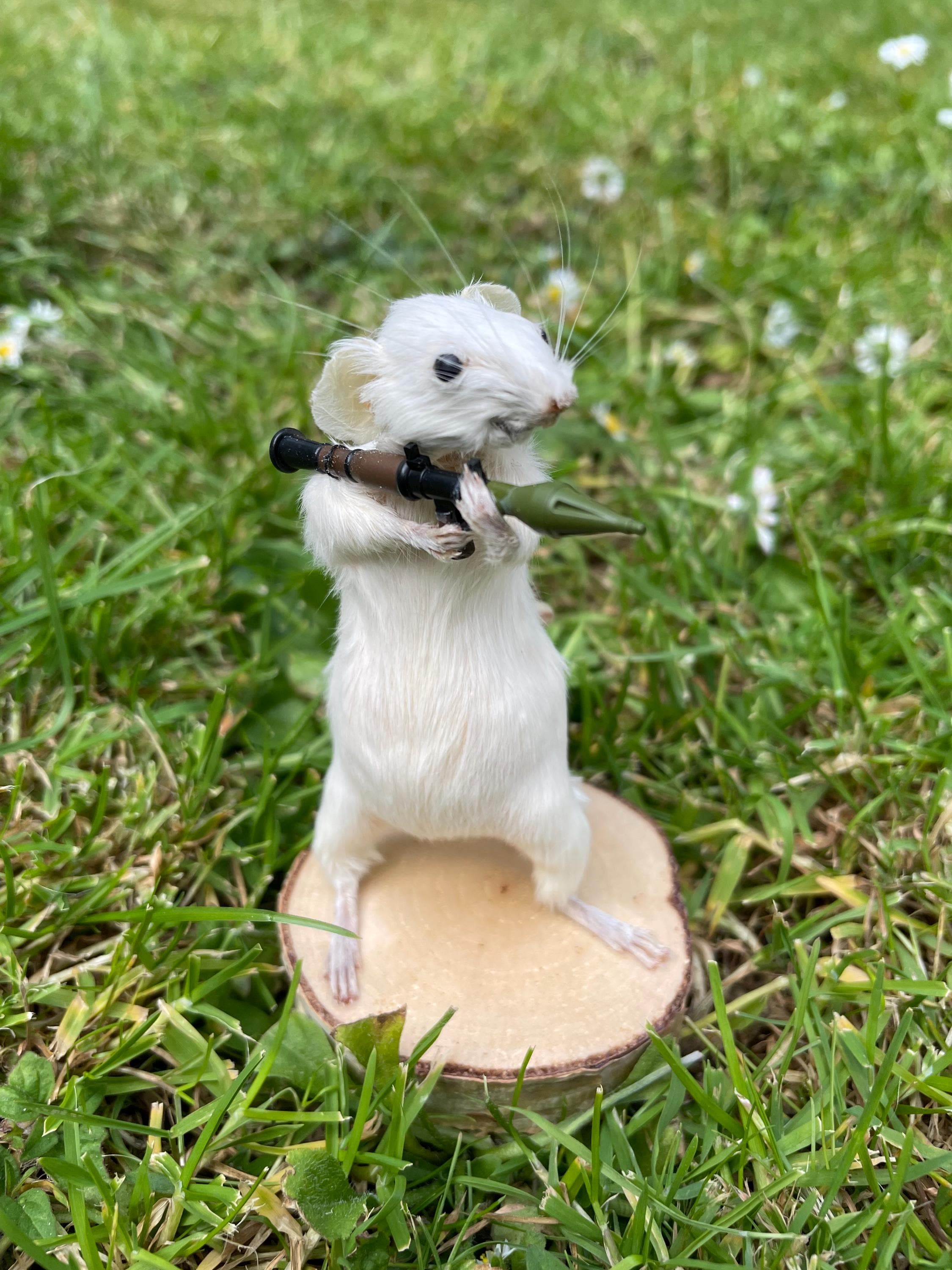 Rodent Rocket Pocket Rocket Rodent – Taxidermy Mouse Holding a Rocket Launcher - Etsy