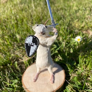 May include: A white mouse wearing a black and white shield and holding a silver sword. The mouse is standing on a wooden round base. The background is green grass.