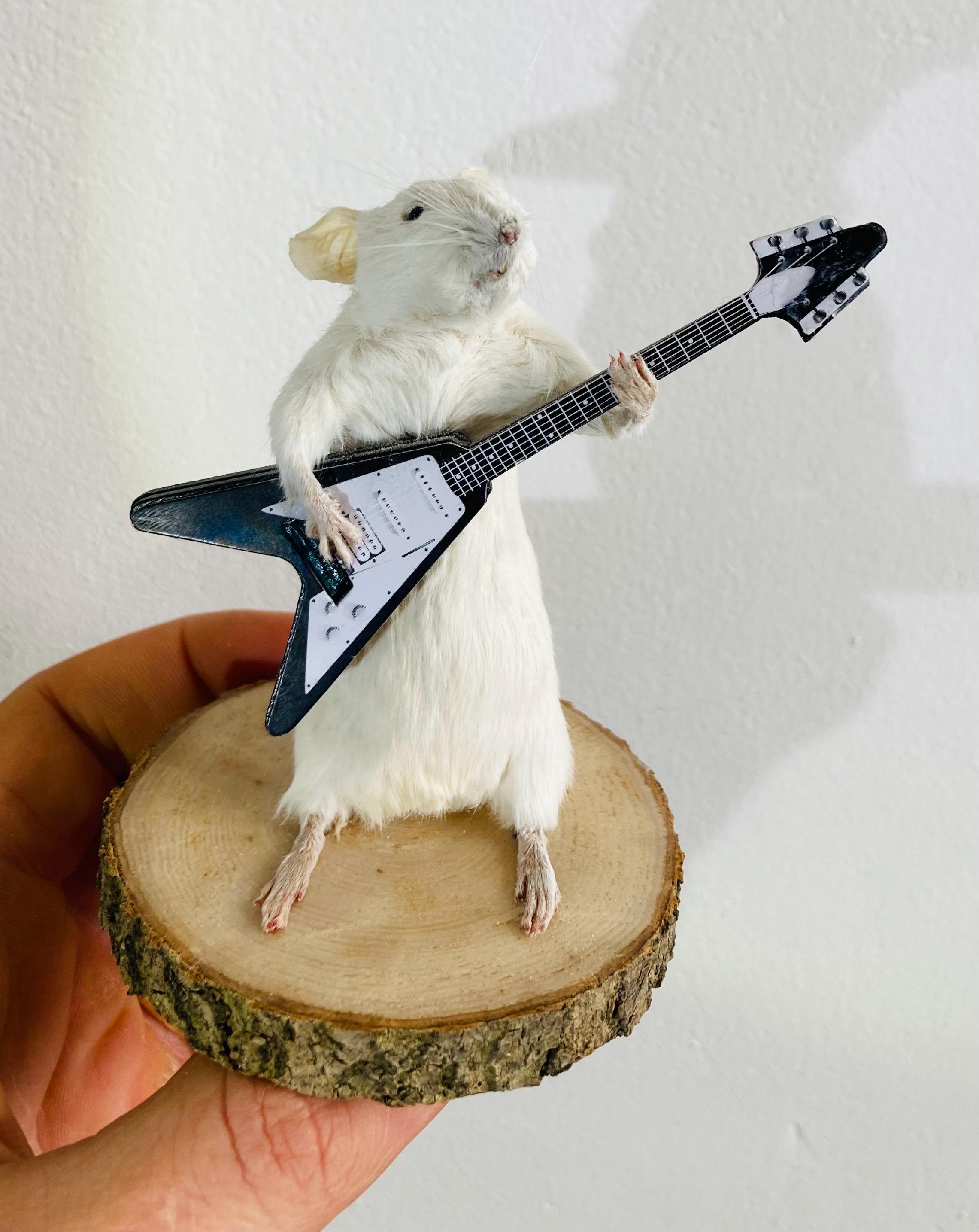 Metallica Mouse, Taxidermy Mouse Playing the Electric Guitar - Etsy