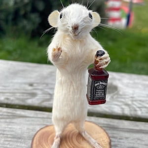 May include: A taxidermied white mouse stands on a wooden disc, holding a miniature Jack Daniel's whiskey bottle. The mouse is posed upright, with its tiny paws visible. The bottle is dark with a black label.