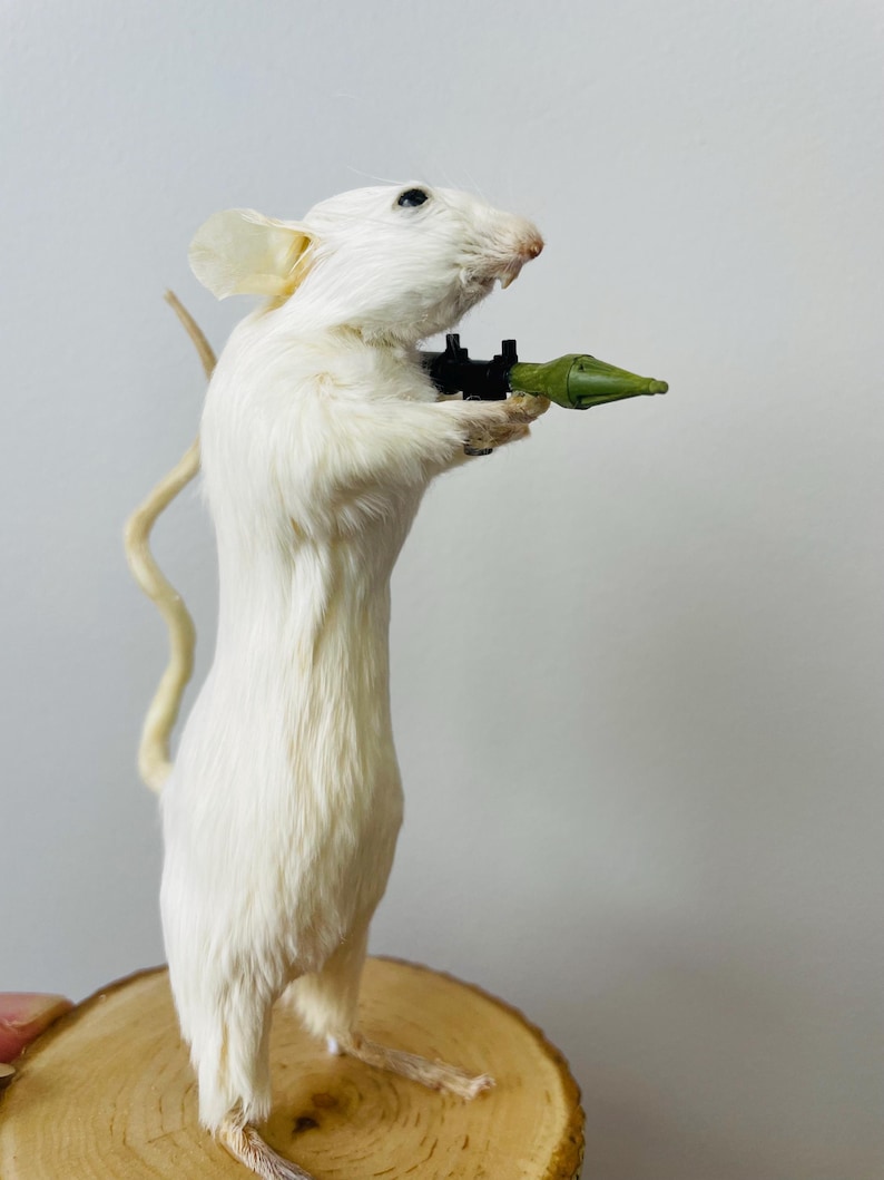 Rodent Rocket Pocket Rocket Rodent – Taxidermy Mouse Holding a Rocket Launcher - Etsy