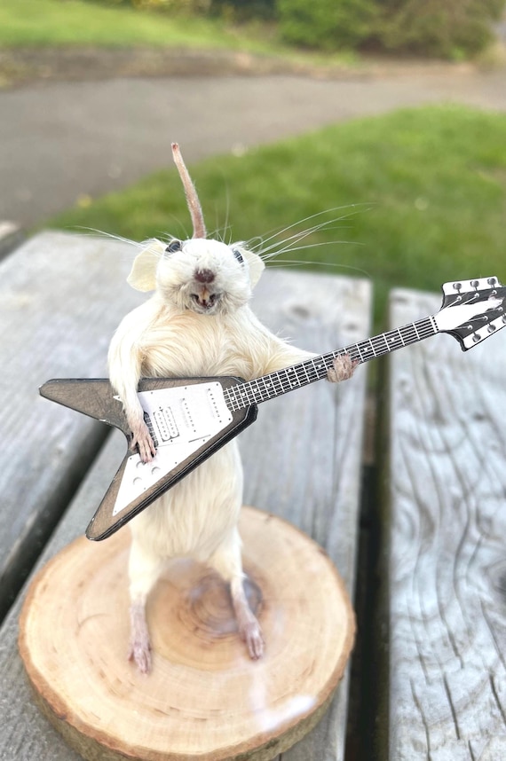 ギター Papa Goriot Studios / RODENT Papa Goriot Studios RODENT ｜イケベ楽器店オンラインストア