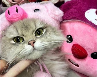Piglet pet costume hat, soft pink plush hat, suitable for small pet cats
