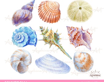 Sea Shell png, Coquette summer png, Hawaii png, Trendy Summer Png, Beach Life png, Beach png, Beach vibes png, Aesthetic Summer, Trendy png