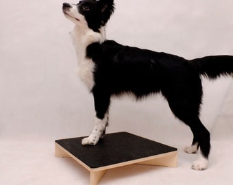 Square Dog Platform / Dog training /