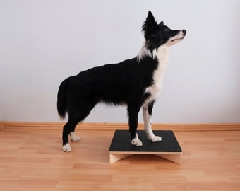 Square Dog Platform / Dog training / Dog fitness / Dog accessories / Target / Dog Obedience