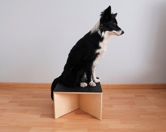 Box de saut pour chien (M) / Dressage de chien / Fitness pour chien