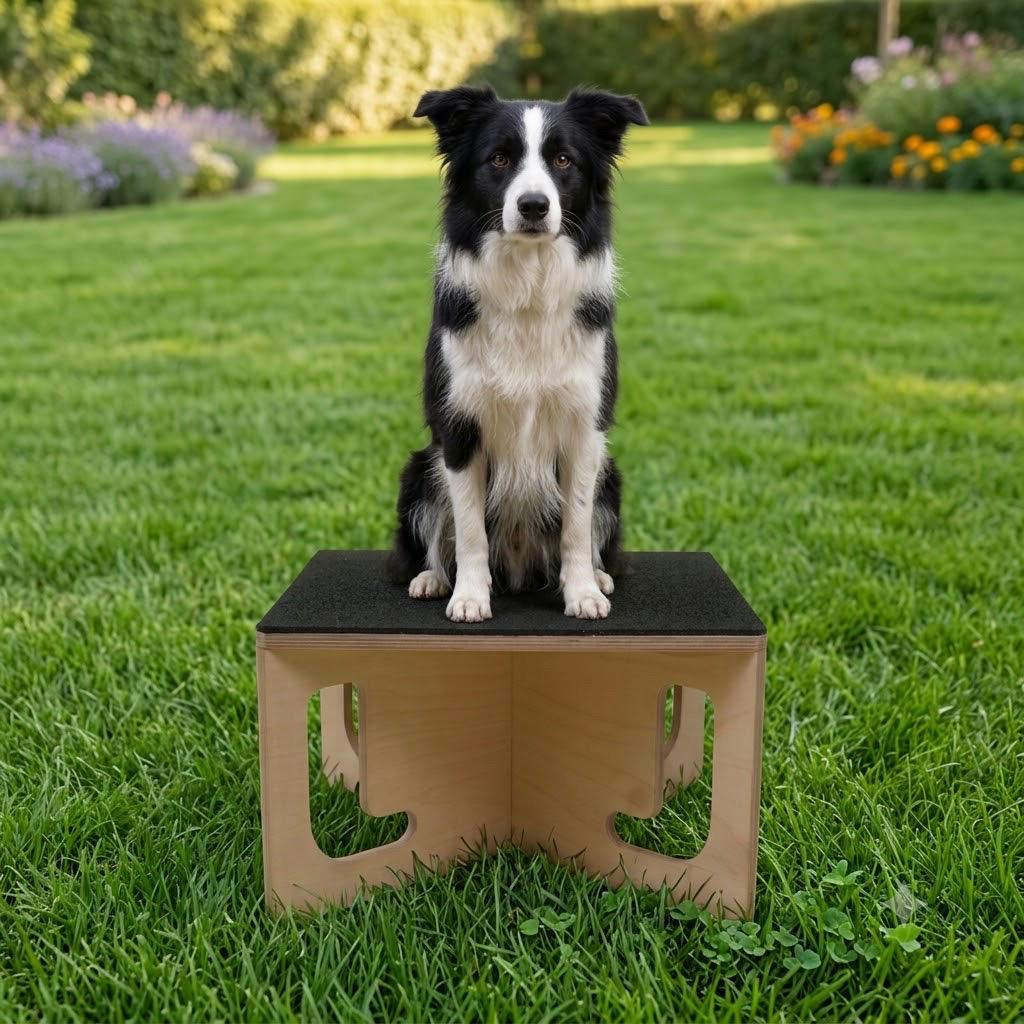 Dog jumping box (M) / Dog training / Dog fitness