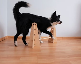 Set of 2 cones and sticks for dog training / Dog accessories / Dog training set / Dog fitness