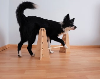 Set van 2 kegels en stok voor hondentraining/hondenaccessoires/trainingsset voor honden/hondenfitness