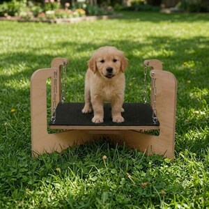 Plattform für Welpen / Hundetraining / Hundesozialisierung / Hundezubehör / Ziel