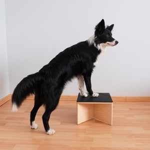 Jumping box for dog (S) / Dog training / Dog fitness