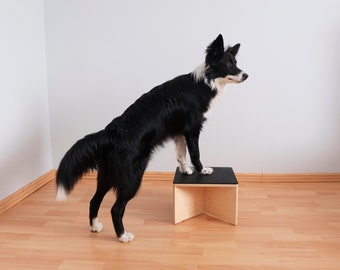 Jumping box for dog (S) / Dog training / Dog fitness