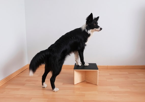Caja de salto para perros (S) Adiestramiento canino Fitness