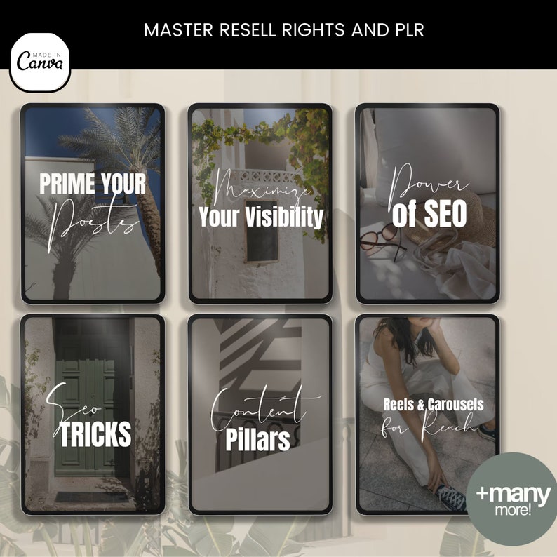 May include: A collage of six digital images with text overlays. The images are of a palm tree, a white building, a straw hat, a green door, a striped wall, and a woman sitting on the ground. The text overlays include "Prime Your Posts", "Maximize Your Visibility", "Power of SEO", "SEO Tricks", "Content Pillars", and "Reels & Carousels for Reach". The text "+many more!" is also included.