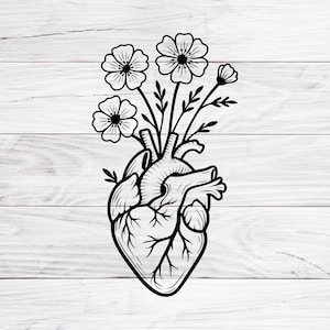 Kwiatowe Anatomiczne Serce Svg, Anatomiczne Serce Svg, Anatomiczne Serce PNG, Plik Cięty, Clipart, Plik Cyfrowy, Sylwetka, Svg, Png, Jpg