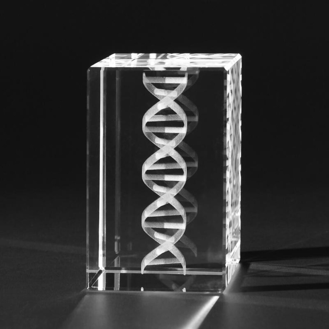 3D Anatomy in Crystal 3D Crystal Medical Model 3D DNA Gene Spiral in ...