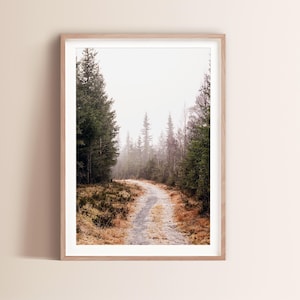Fine Art Norway Photography Print Arctic Circle Forest Woods Mountain Home Decor Art Winter Snow Photography Scandinavian Art Print
