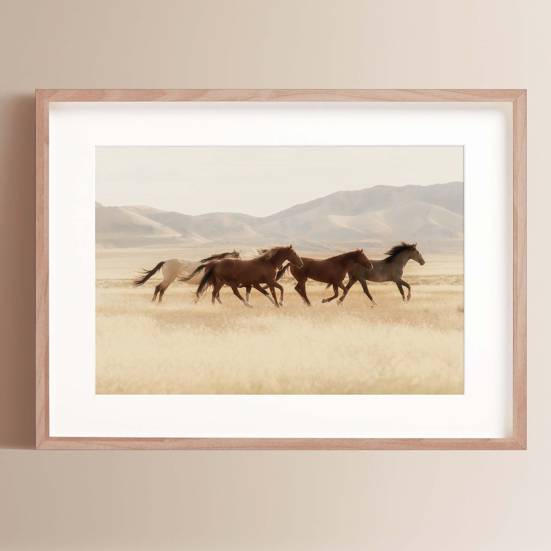 Fine Art Wild Horses Art Print Colorado Mountain Photography Print Wall ...