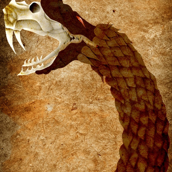 Illustration serpent squelette parchemin