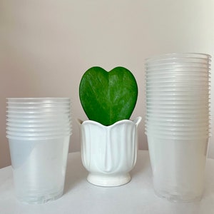 Può includere: Tre pile di vasi di plastica trasparente, una pila è più alta delle altre due. Un vaso di ceramica bianco con una pianta verde a forma di cuore è al centro.