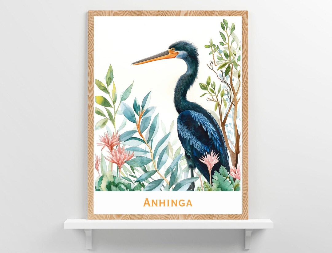 Anhinga Florida Bird Poster Design Iconic Tropical Birds Wildlife Wall ...