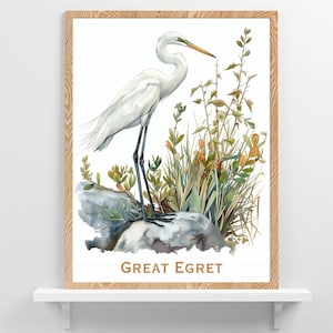 Great Egret Bird Poster Design Iconic Tropical Birds Wildlife Wall Art Lake Home or Beach Cottage Birder Decor Bird Lovers Gift