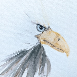 Eagle watercolor painting, American Bald Eagle, original art, bird art,