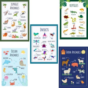 Set of 5 Educational Animal Poster Wall Artl for Kids | Learn Animal Names & Facts | Colorful Animal Learning Chart | Digital Download
