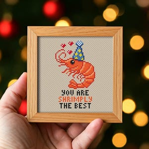 May include: A framed cross-stitch featuring an orange shrimp wearing a blue party hat. The text "YOU ARE SHRIMPPLY THE BEST" is stitched below the shrimp. The frame is made of light brown wood.