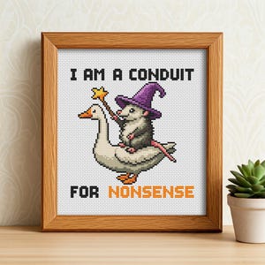 May include: Cross-stitch art in a wooden frame. The artwork features a possum wearing a purple wizard hat and riding a goose, holding a star wand. Text reads "I AM A CONDUIT FOR NONSENSE". The background is white.