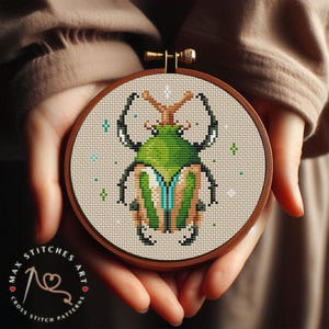 May include: A cross stitch pattern of a green beetle with blue and orange accents on a beige background. The pattern is in a wooden embroidery hoop.