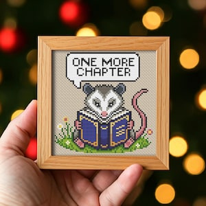 May include: A framed cross-stitch featuring an opossum reading a book. The opossum is gray and white, with a pink tail, and is surrounded by green grass and small flowers. A speech bubble above the opossum reads "ONE MORE CHAPTER."