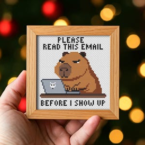 May include: A framed cross-stitch depicting a brown capybara using a laptop. The text says "PLEASE READ THIS EMAIL BEFORE I SHOW UP". The frame is light brown wood. The background is blurred with Christmas lights.