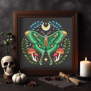 May include: A framed cross-stitch embroidery featuring a green luna moth with a crescent moon and mushrooms on a black background.