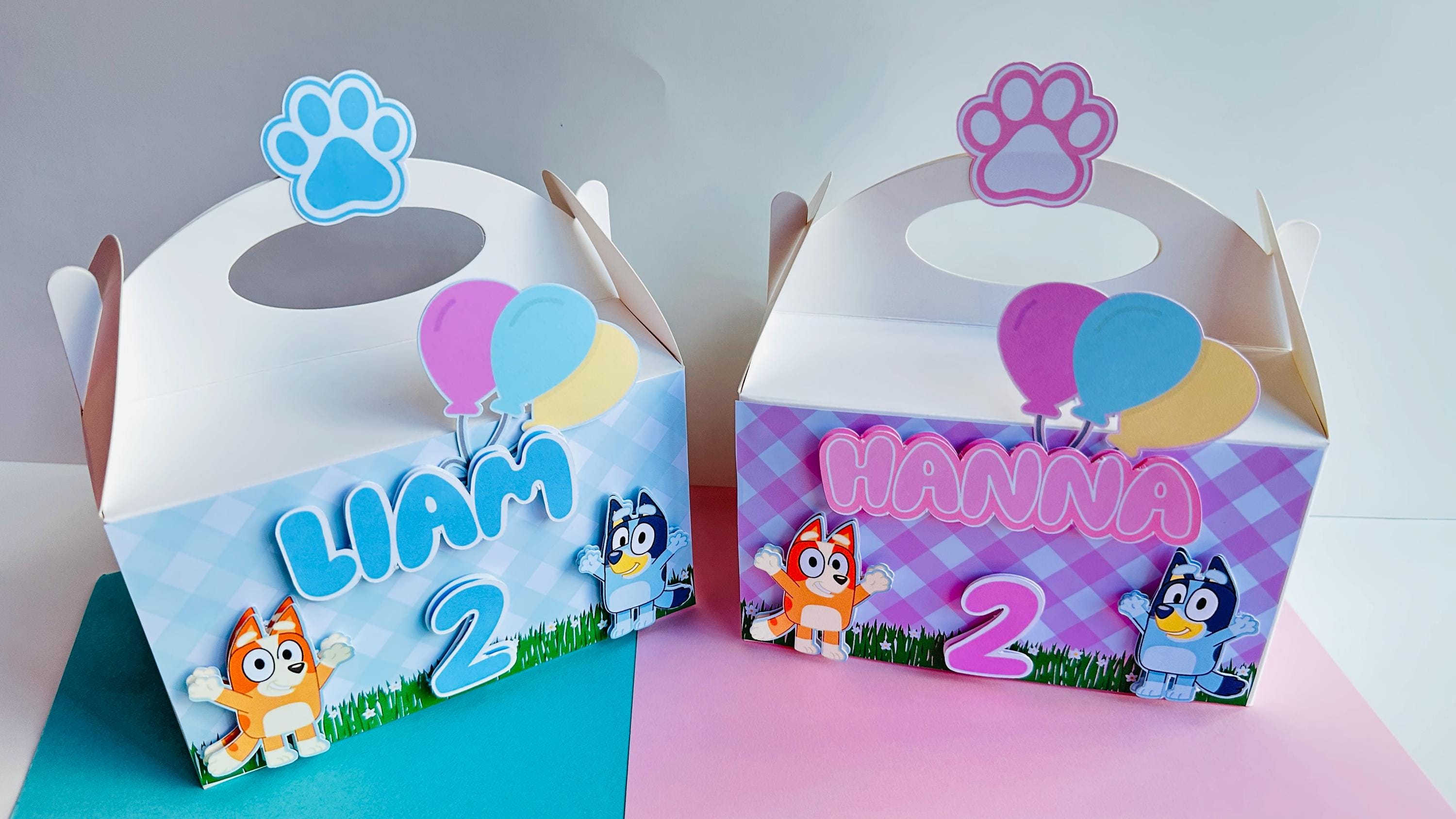 Blue Dog Favor Box