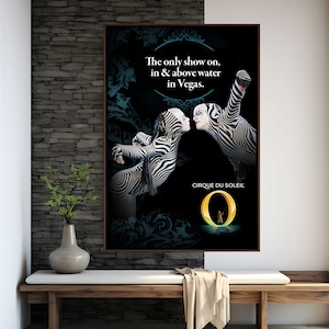 Póster de la película Cirque du Soleil / Impresión de alta calidad / Arte cinematográfico / Decoración de pared / Objetos de colección para cinéfilos / Póster de regalo