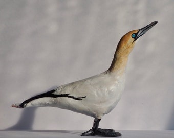 Northern Gannet Figure