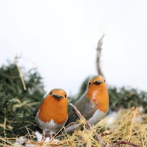 May include: Two small, realistic robin figurines perched on a bed of brown and green moss. The robins have orange breasts, gray heads, and black eyes.
