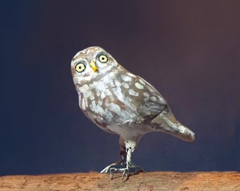 Little Owl
