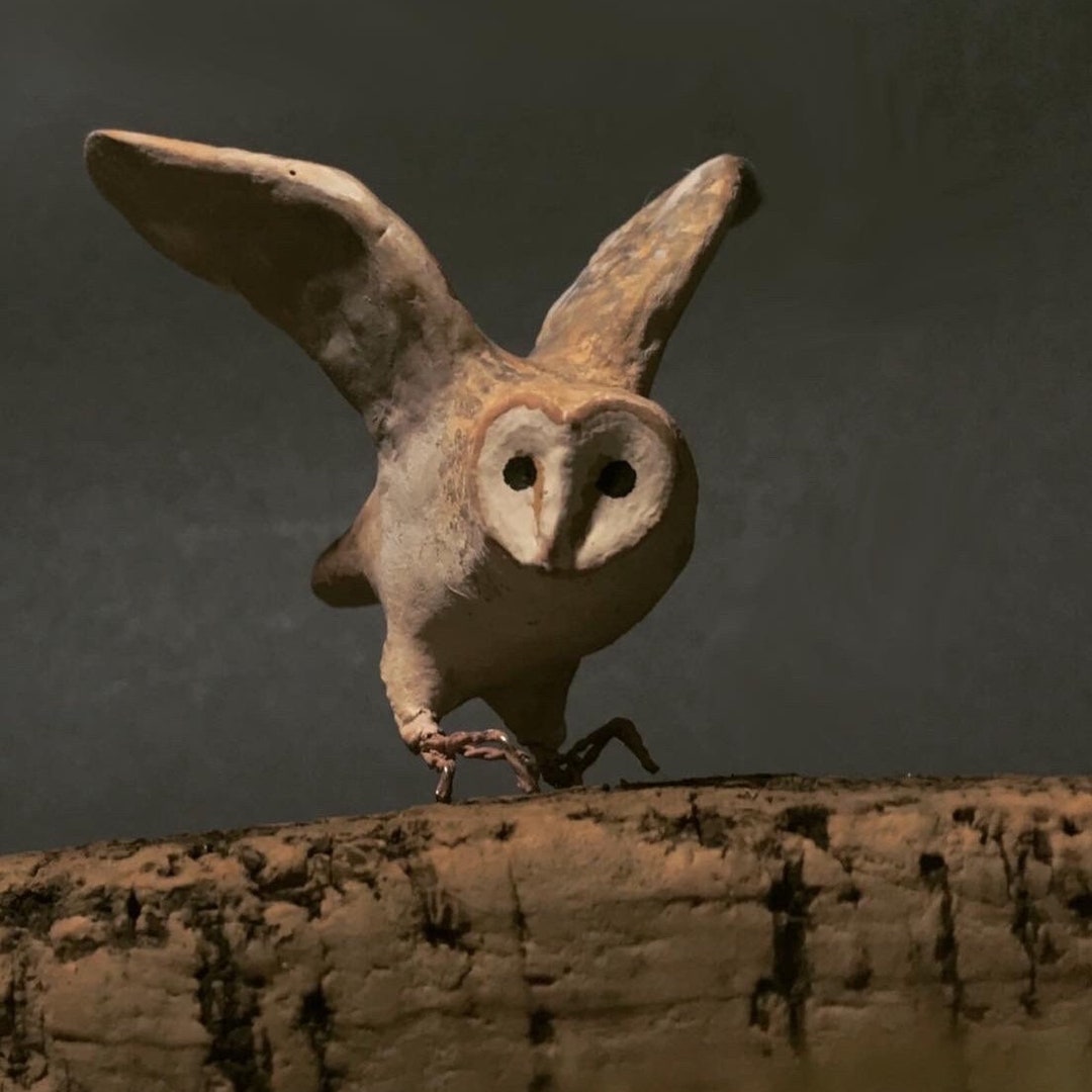 Birds Little Barn Owl ブラウン 0312 Little Barn Owl - Etsy